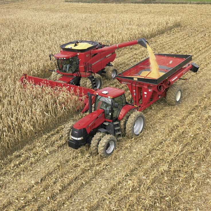 Strengthen Trade Balance