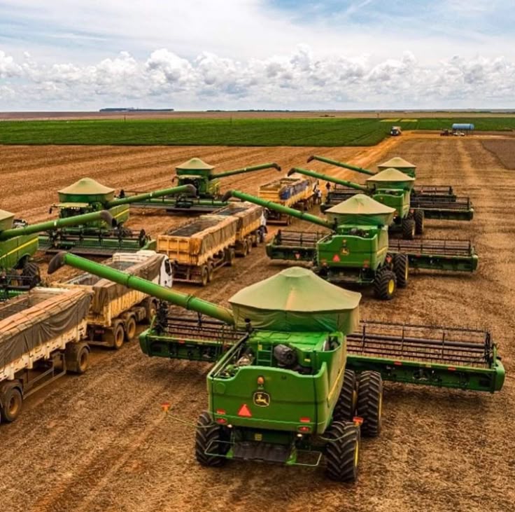 Integrated Industrial Farms Processing Africa