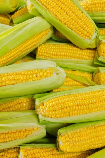Read more about the article GEAIFEC’s 61,500 Hectare Corn