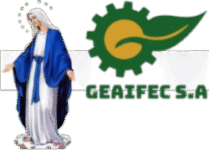 geaifecsa.com