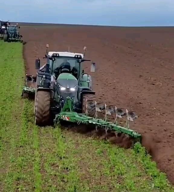 Integrated Industrial Farms Processing Africa